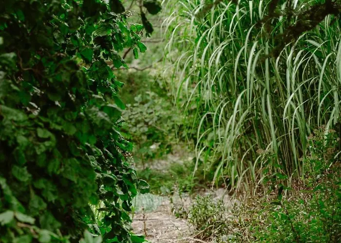 Alloggio per agriturismo Zielona Parcela