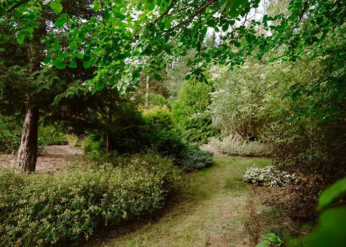 Zielona Parcela * Pisz